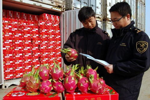 食品進口報關全流程解析 東勝物流為您梳理必備資料與注意事項