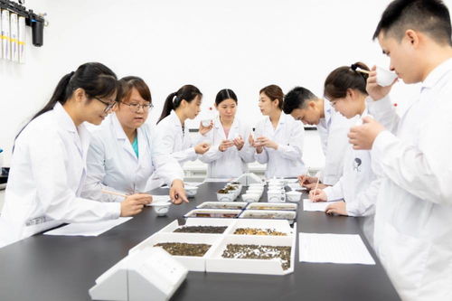 用科技支撐靈感 喜茶首創(chuàng)行業(yè)專(zhuān)業(yè)食品營(yíng)養(yǎng)與科學(xué)研究科技信息咨詢(xún)服務(wù)