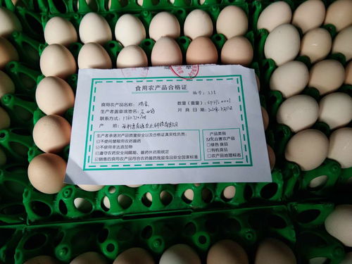 西平縣多措并舉扎實(shí)推進(jìn)食用農(nóng)產(chǎn)品合格證試點(diǎn)工作